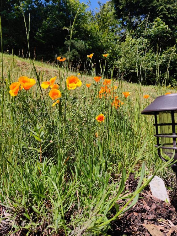 2018 Barafundle & The Hidden Gem Holiday home *